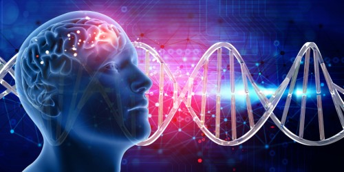 ALS In Future: What Research Is Being Done?